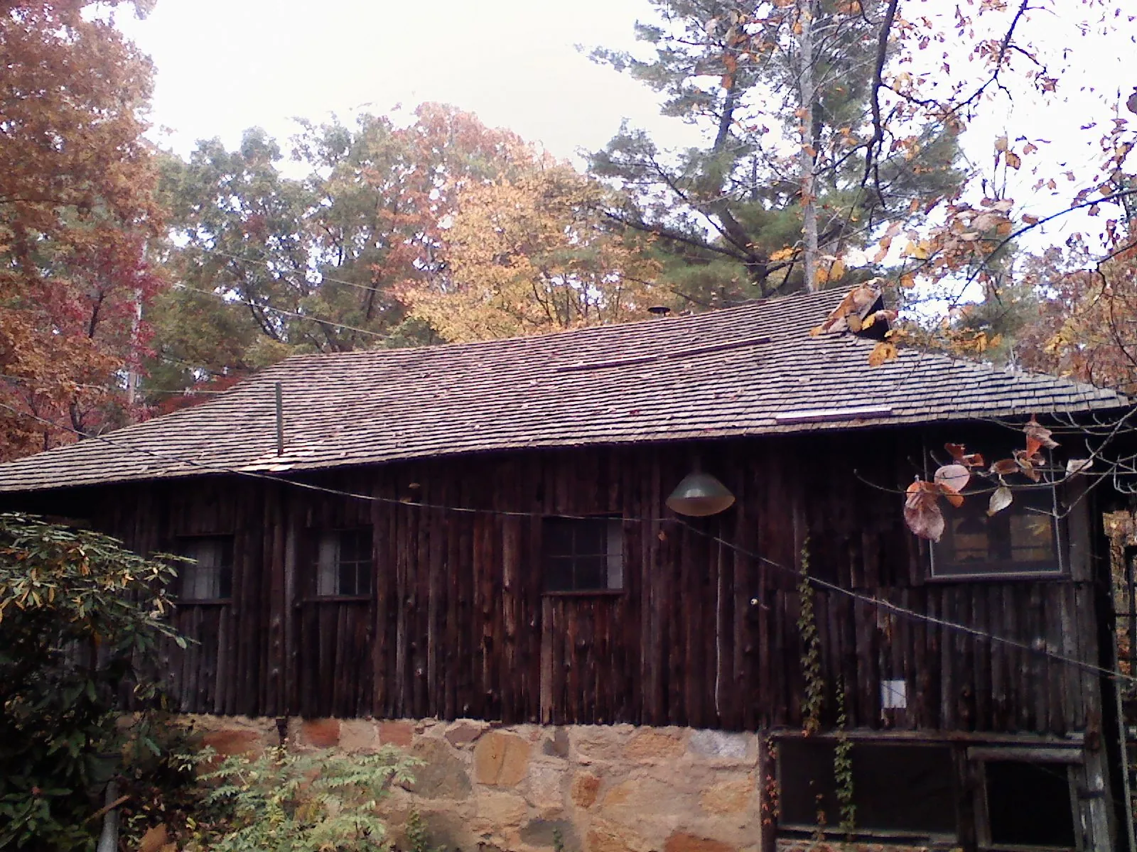 Weathered wood shake roof on a rustic board sided cabin in Washington